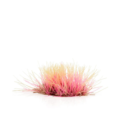 Alien Pink 6mm wild