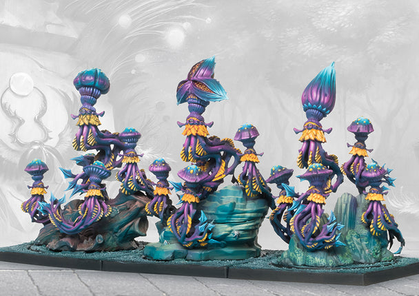 Weaver Courts Will o'Wisps