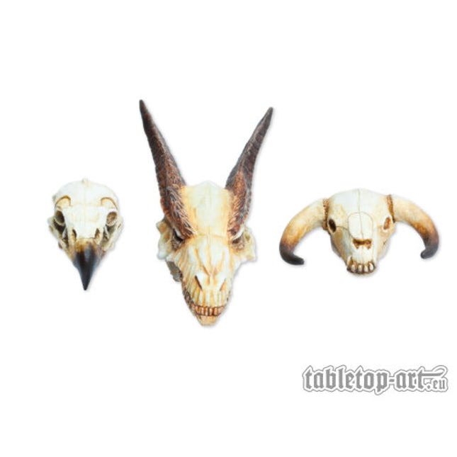 Monster Skull Set (3) (TTA600033)