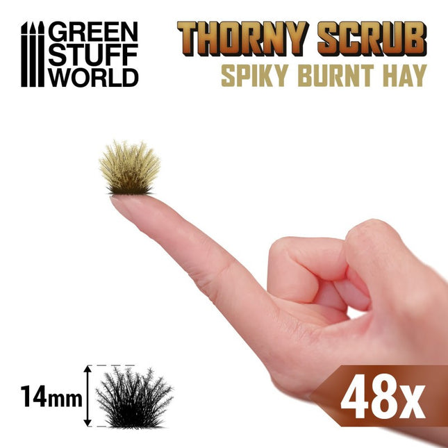 Thorny spikey scrub tufts burnt hay
