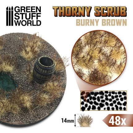 Thorny spikey scrub tufts Burny Brown