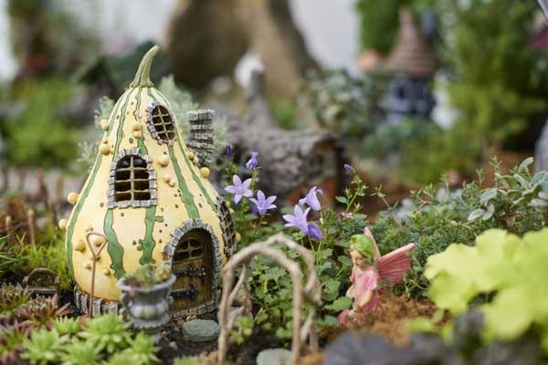 Fairy garden (sale 30%)