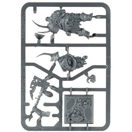 AoS Maggotkin of Nurgle Lord of Plagues