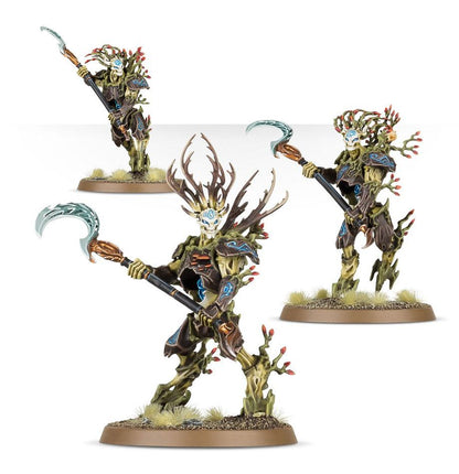 AoS Sylvaneth Kurnoth Hunters