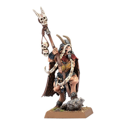 Beastmen Brayherds Shaman