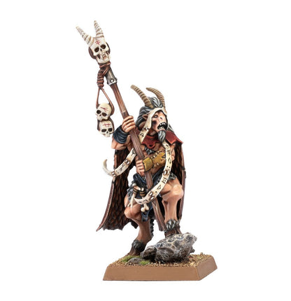 Beastmen Brayherds Shaman