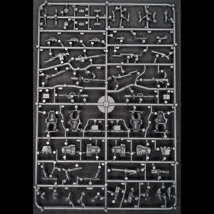 This Quar's War - Quar Crusader Specialists