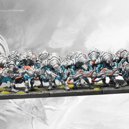 Conquest 2 Player Deluxe Starter set The Nepenthe Campaign