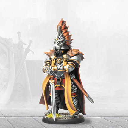 Conquest 2 Player Deluxe Starter set The Nepenthe Campaign