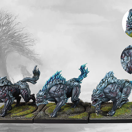 Nords - 2026 Supercharged Starter Set