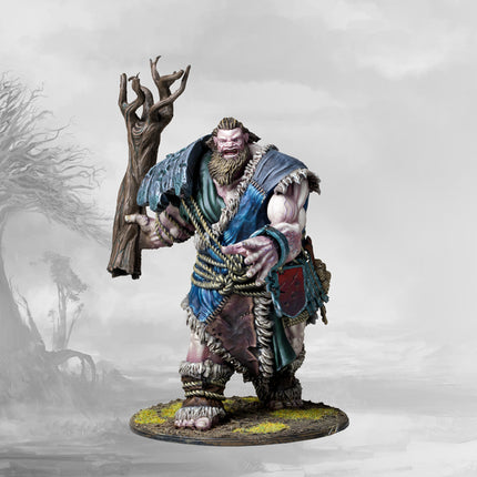 Nords - 2026 Supercharged Starter Set