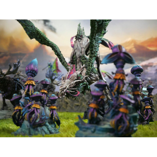 Weaver Courts Coill Draic