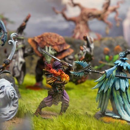 Weaver Courts Warband 2026 - First Blood