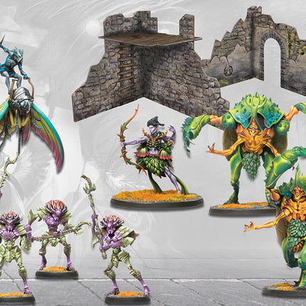 Weaver Courts First Blood Reinforcements Set