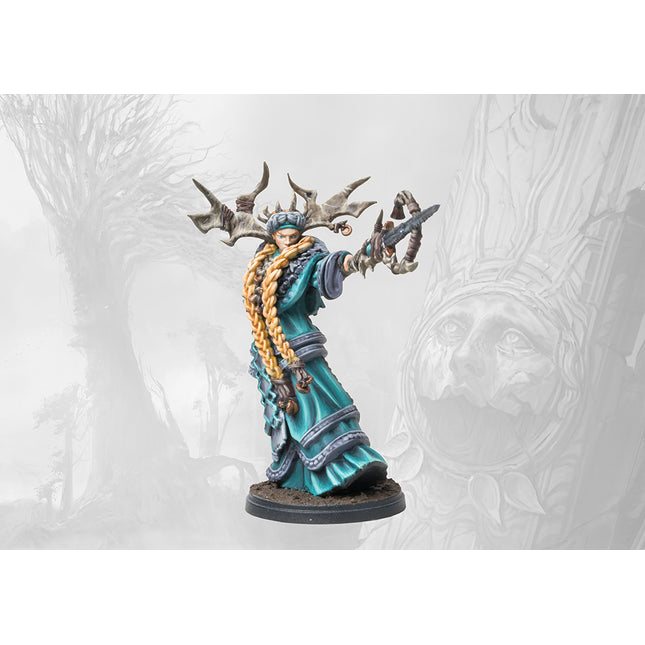 Nords Faithbearer Reginleif (Volva)