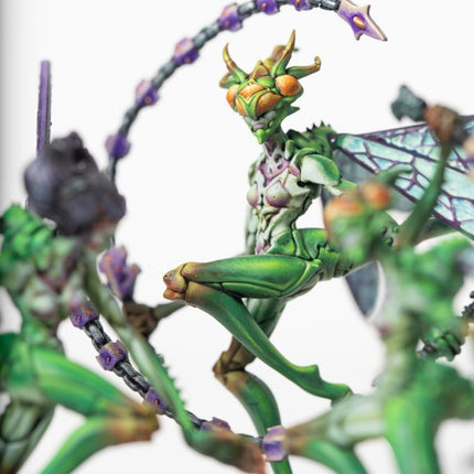 Weaver Courts Scaile Dancers