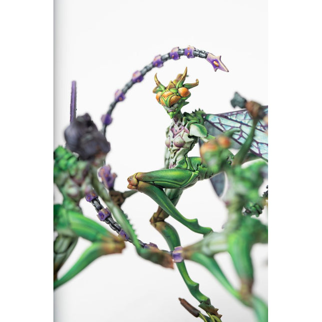 Weaver Courts Scaile Dancers