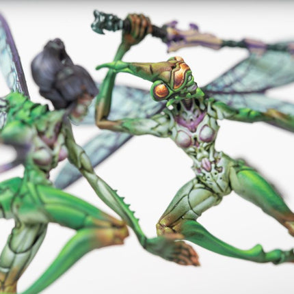 Weaver Courts Scaile Dancers