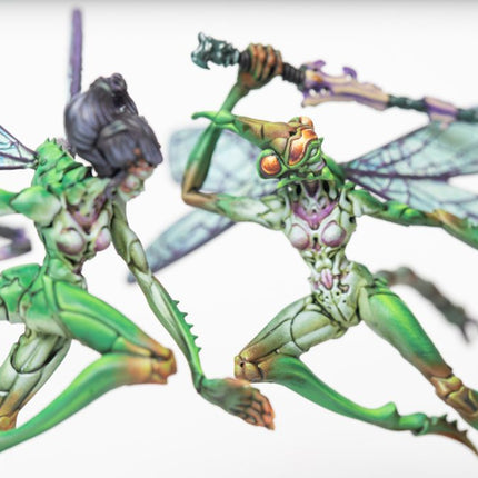 Weaver Courts Scaile Dancers