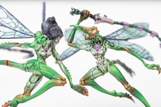 Weaver Courts Scaile Dancers