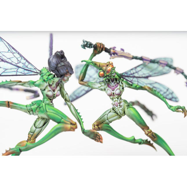 Weaver Courts Scaile Dancers