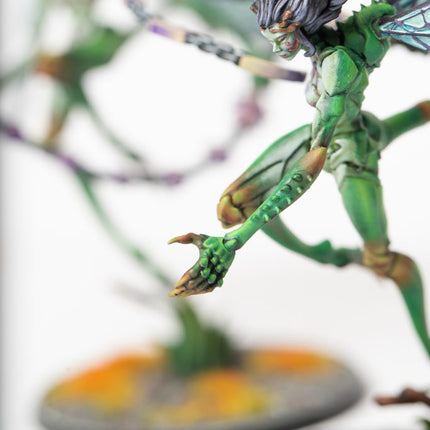 Weaver Courts Scaile Dancers