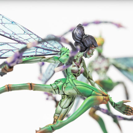 Weaver Courts Scaile Dancers