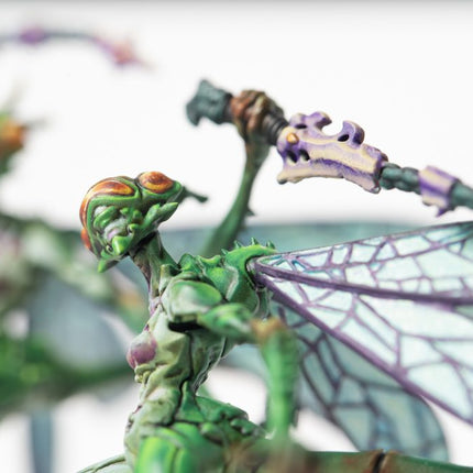 Weaver Courts Scaile Dancers