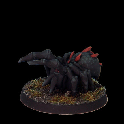 7TV Fantasy Starter Set (8 miniatures)