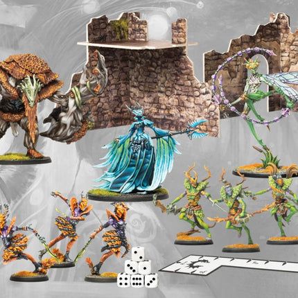 Weaver Courts Warband 2026 - First Blood