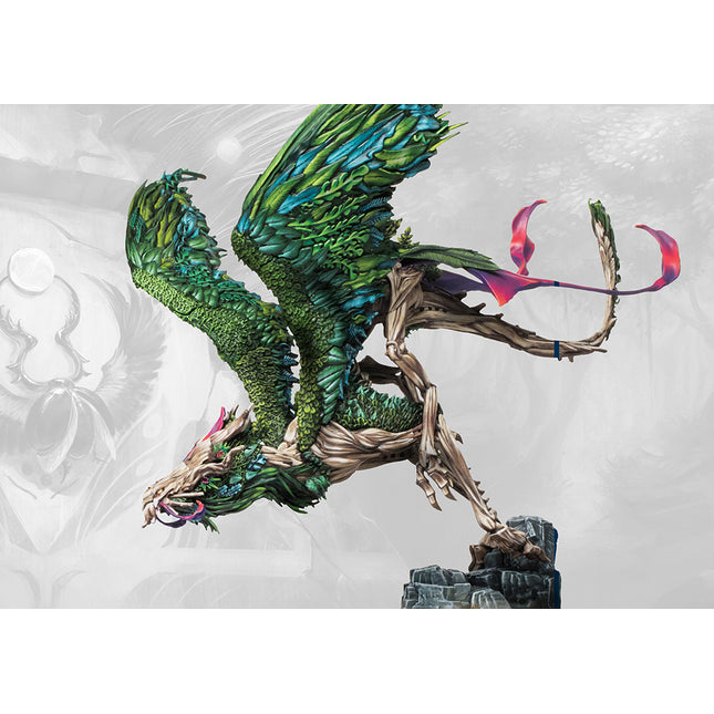 Weaver Courts Coill Draic