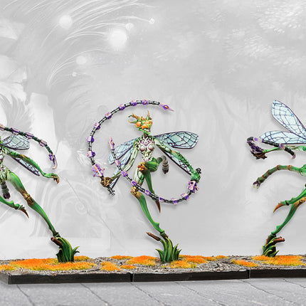 Weaver Courts Scaile Dancers