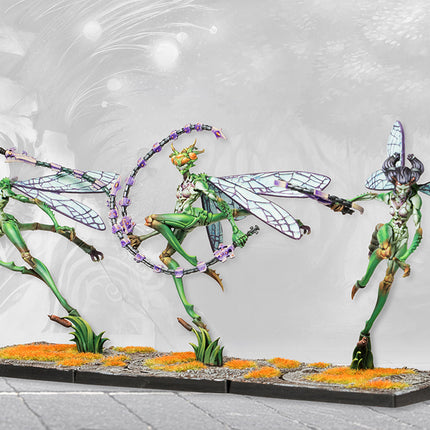 Weaver Courts Scaile Dancers