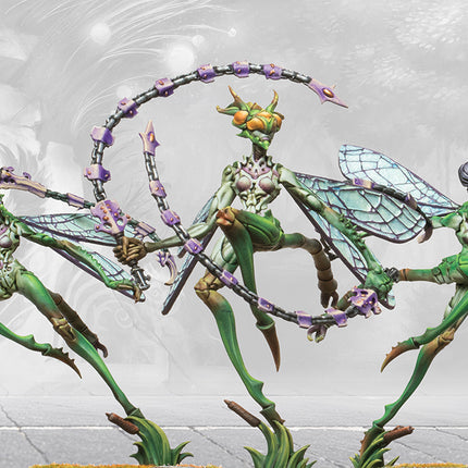 Weaver Courts Scaile Dancers