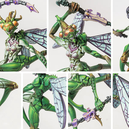 Weaver Courts Scaile Dancers