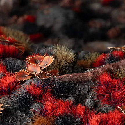 Alien Blood Moon 6mm wild