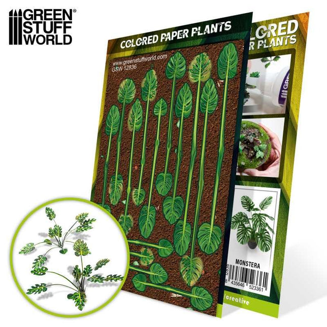 paper monstera plant Colored Paper Plants