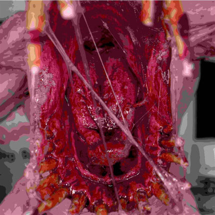 Dirty Down Gore 15ml