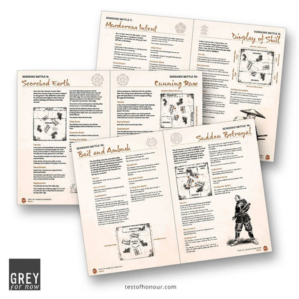 Test of Honour Sengoku (expanded rules)