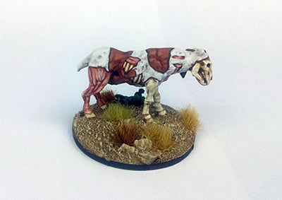 Dead Man Hand's Rotten Horses