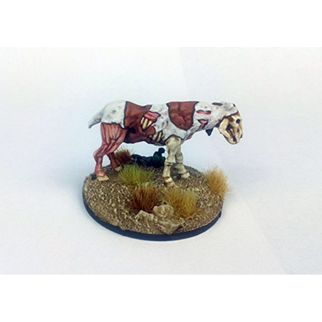 Dead Man Hand's Rotten Horses