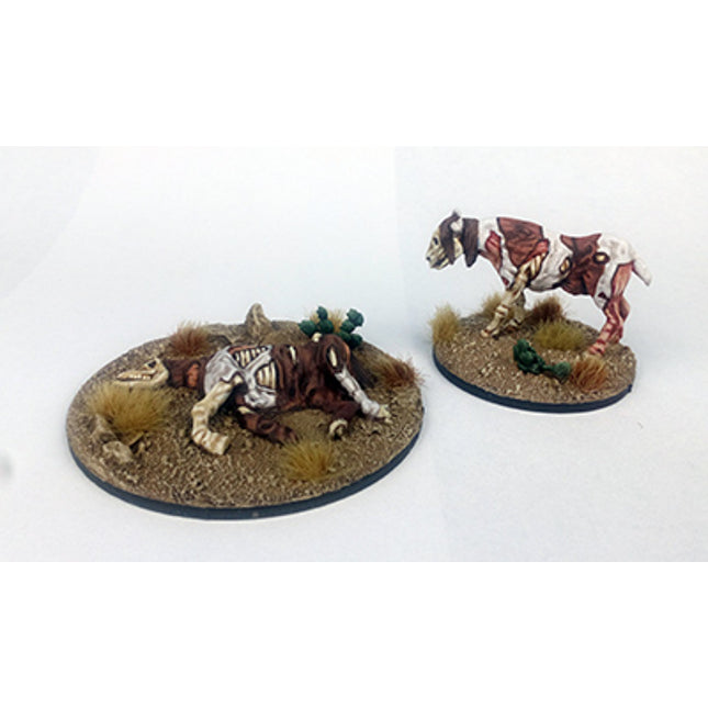 Dead Man Hand's Rotten Horses