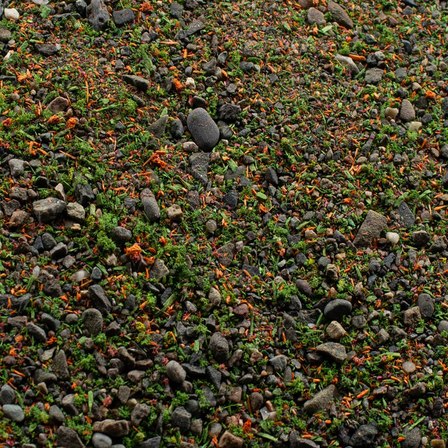 Base Ready Summer Meadow