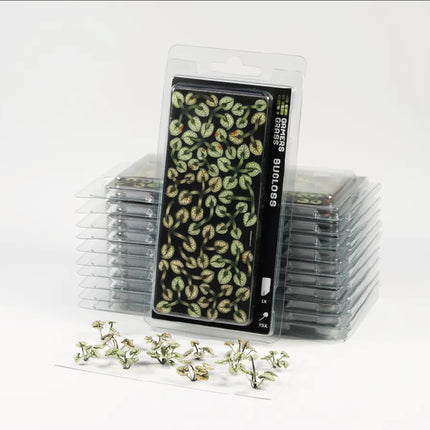 Laser Plants - Bugloss