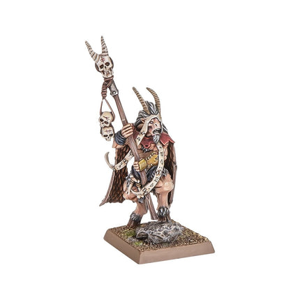 Beastmen Brayherds Battle March Army