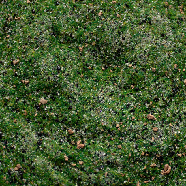 Base Ready Taiga Hillside