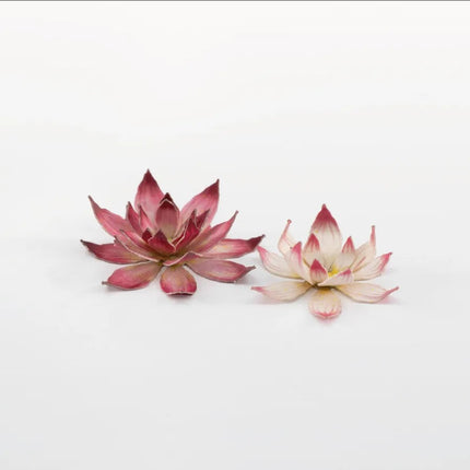 Laser Plants - Lotus Flower