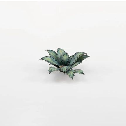 Laser Plants - Blue Agave