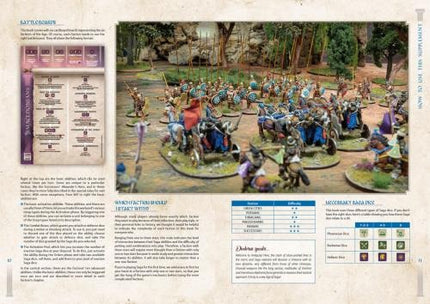 SAGA Supplement Age of Alexander