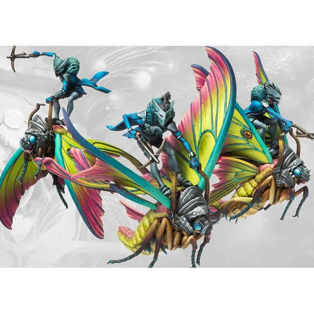 Weaver Courts Ciannir Riders